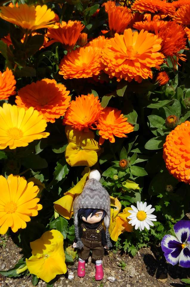 Mitsu przed pięknymi kwiatami puzzle online