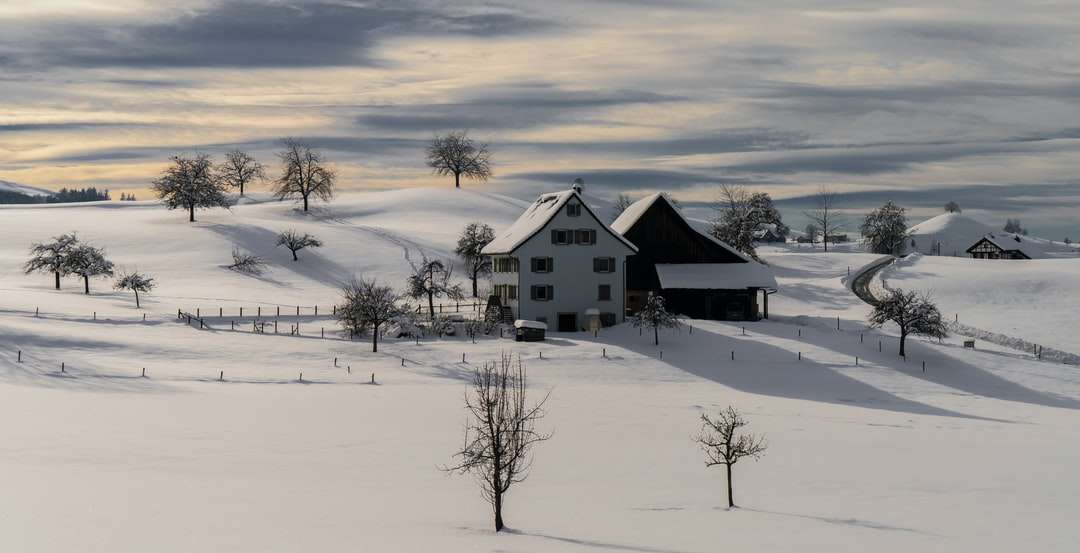 brązowy drewniany dom na ziemi pokrytej śniegiem w ciągu dnia puzzle online