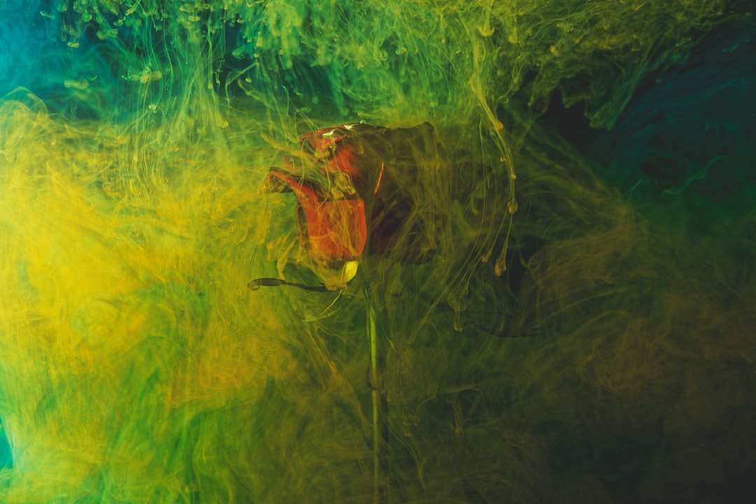 brązowa żaba na zielonej trawie puzzle online