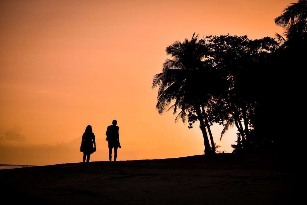 sylwetka mężczyzny i kobiety stojącej na piasku podczas zachodu słońca puzzle online