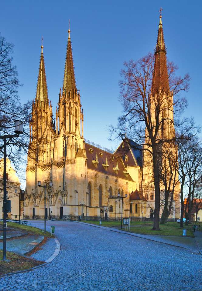 Olomouc Stankt Katedra Wacława, Republika Czeska puzzle online