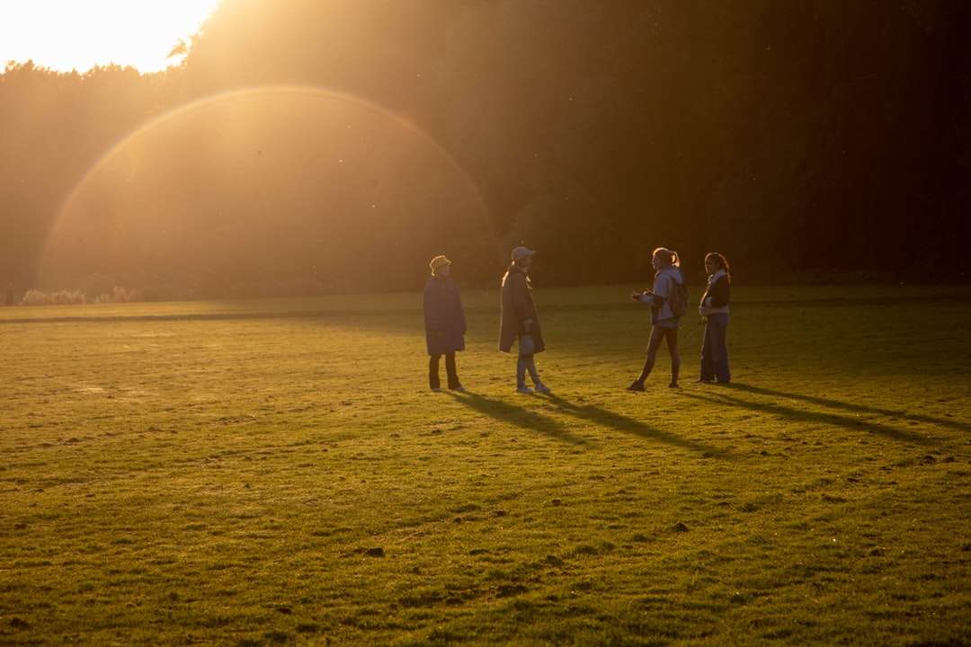 3 osoby spacerujące po zielonej trawie w ciągu dnia puzzle online