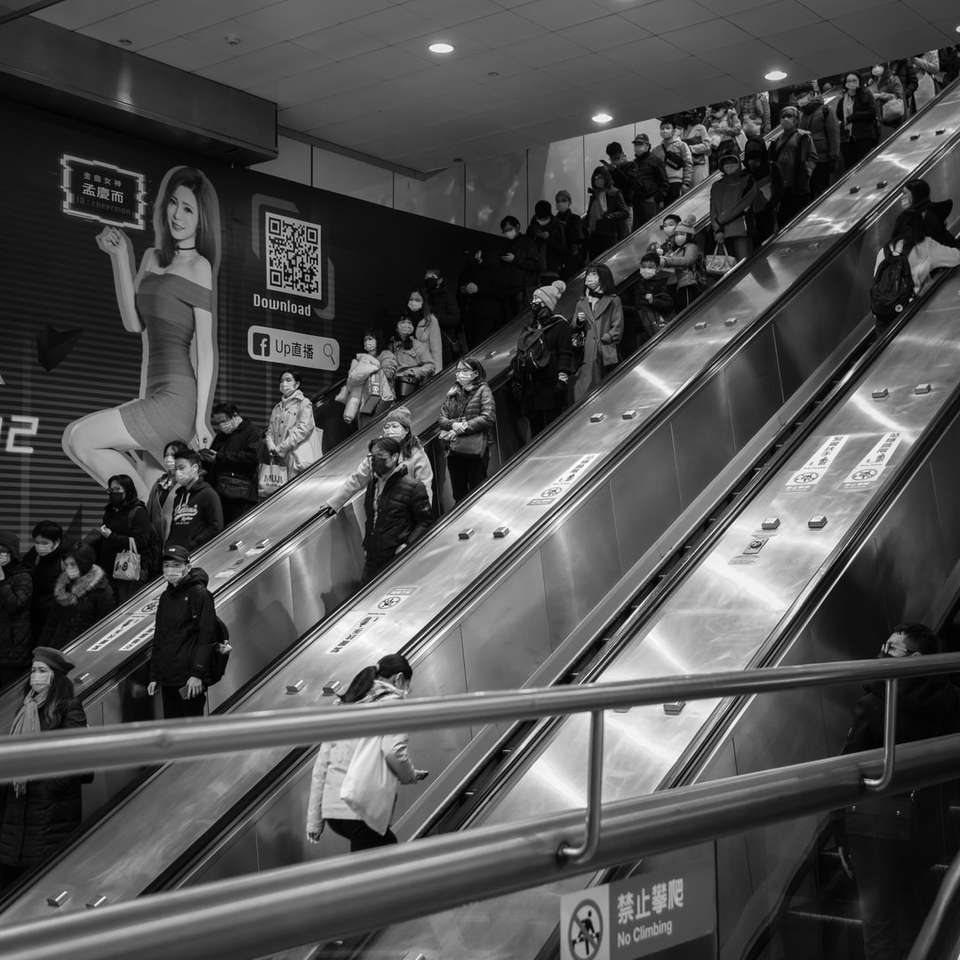 zdjęcie ludzi na schodach ruchomych w skali szarości puzzle online