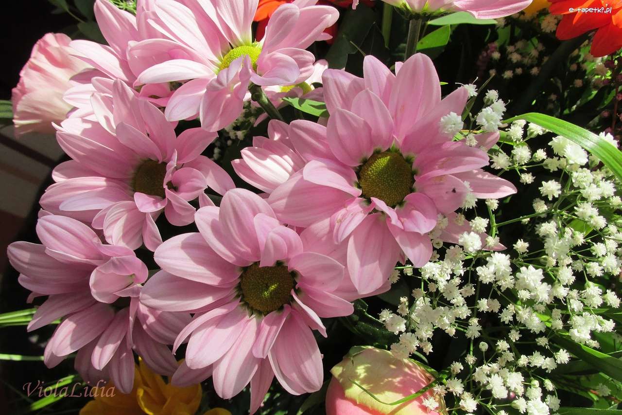 różowe kwiatki z gęsiówką puzzle online