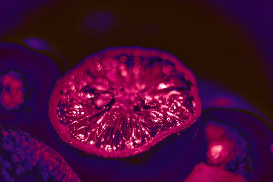 czerwone owoce z kroplami wody puzzle online