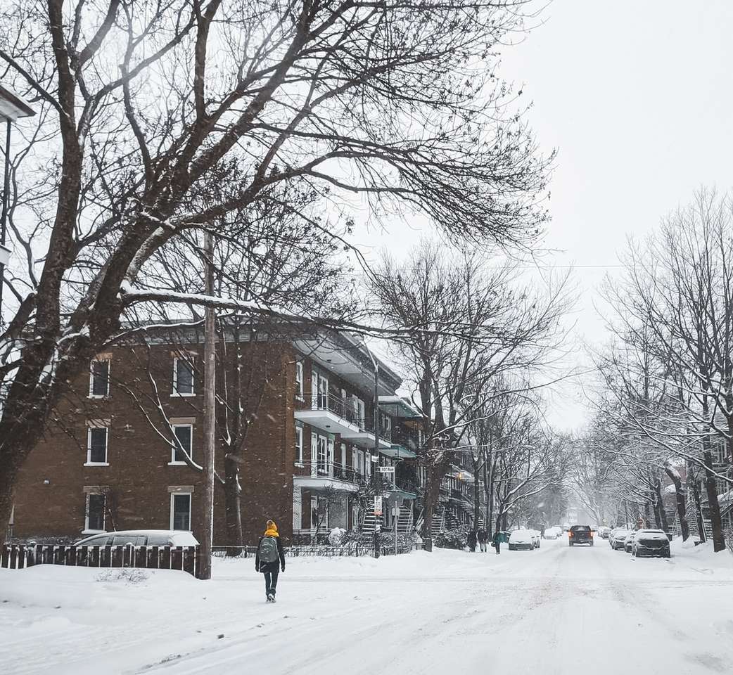 osoba w czarnej kurtce spaceru po zaśnieżonej drodze puzzle online