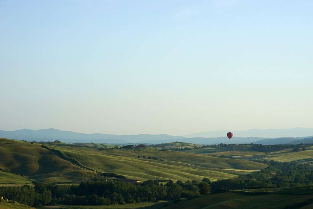 czerwony balon na gorące powietrze lecący nad polem zielonej trawie puzzle online