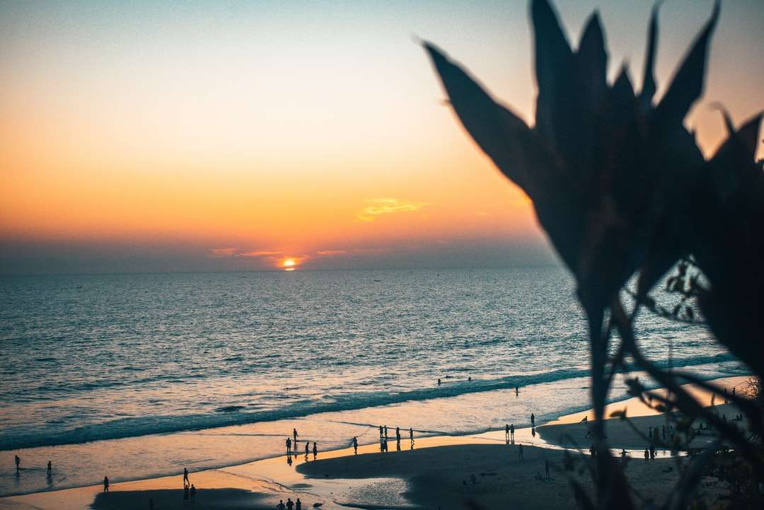 sylwetka osoby stojącej na plaży podczas zachodu słońca puzzle online