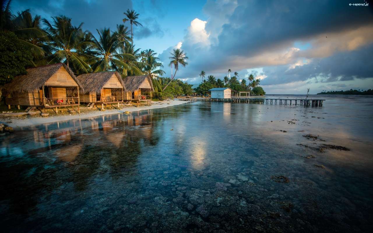 Malediwy, Ocean, Palmy, Domki puzzle online