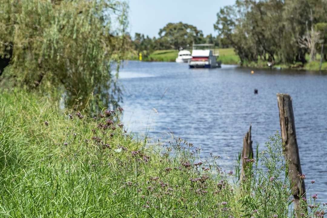 biało-czerwona łódź na rzece w ciągu dnia puzzle online