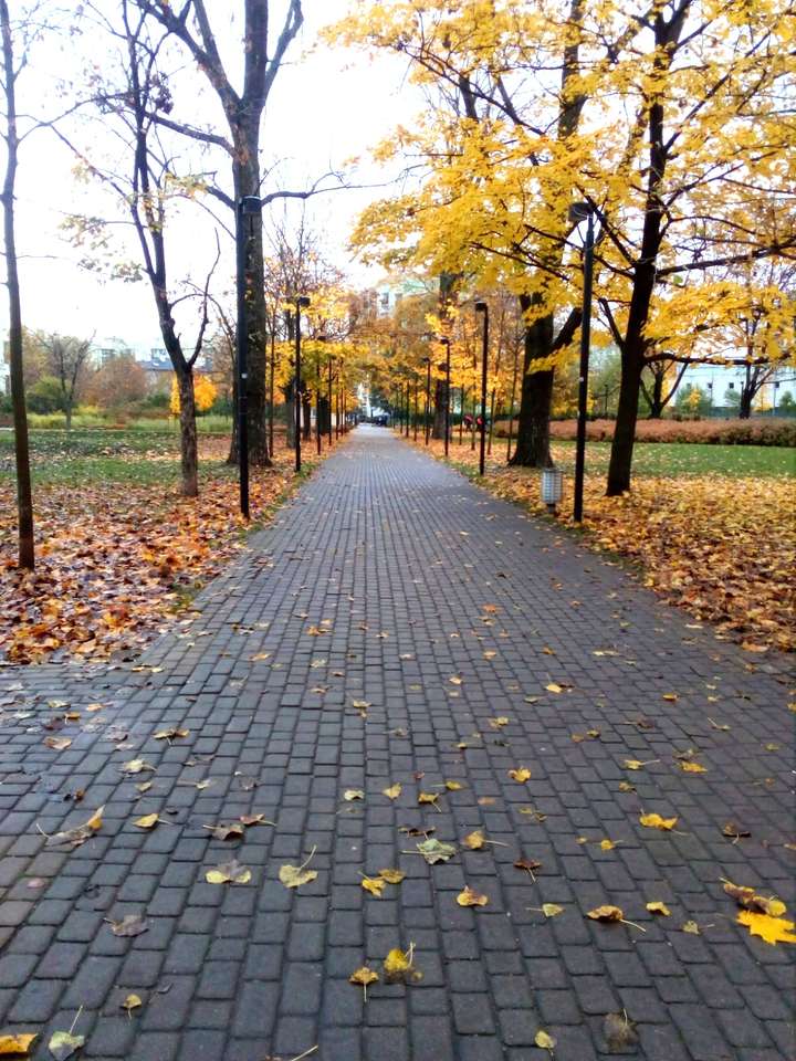 Jesien w parku puzzle online