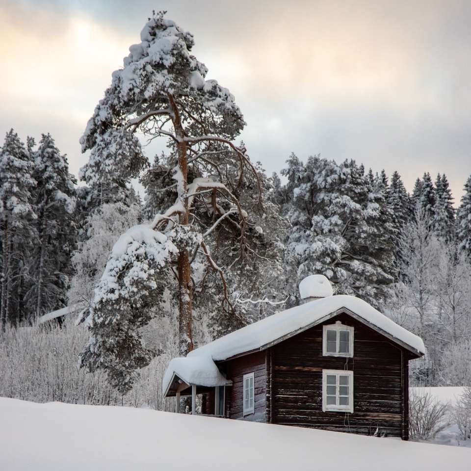 brązowy drewniany dom pokryty śniegiem w pobliżu drzew puzzle online