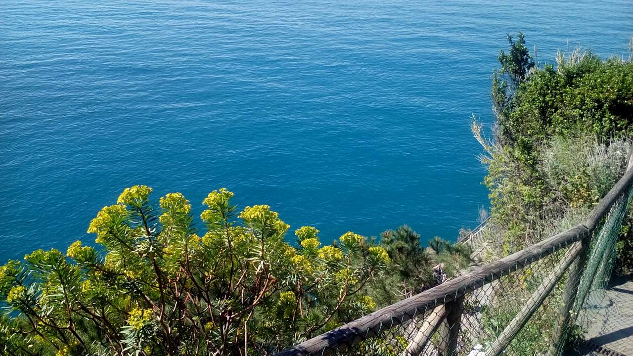 Rośliny w Cinque Terre puzzle online