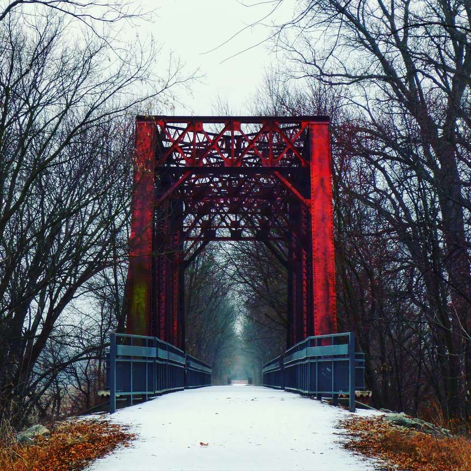 czerwony most nad ziemią pokrytą śniegiem puzzle online