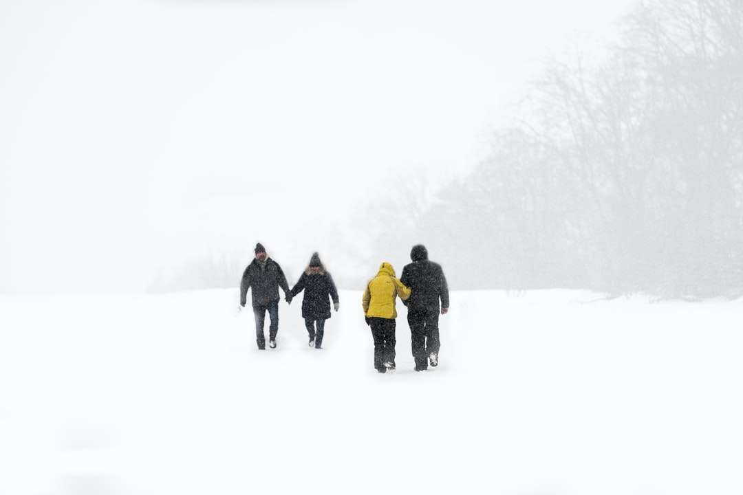 grupa ludzi chodzących po ziemi pokrytej śniegiem puzzle online