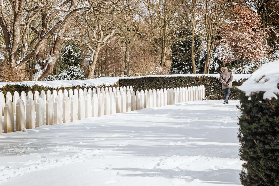 osoba w czarnej kurtce, chodzenie po zaśnieżonej ścieżce puzzle online