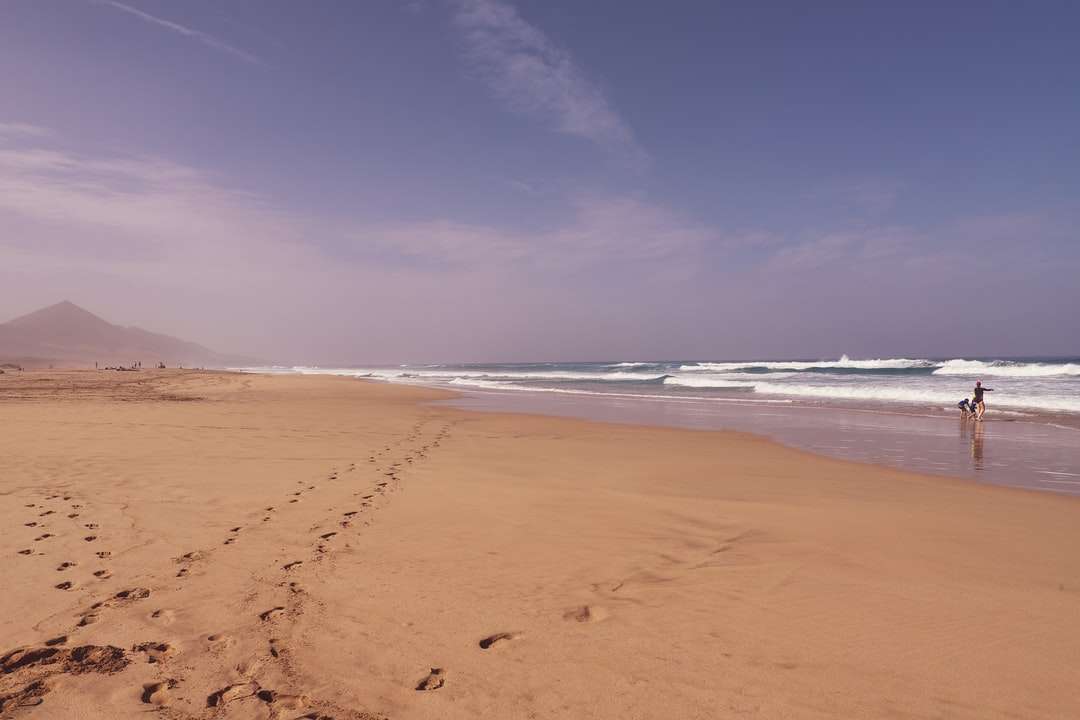 brązowy piasek na plaży pod błękitnym niebem w ciągu dnia puzzle online
