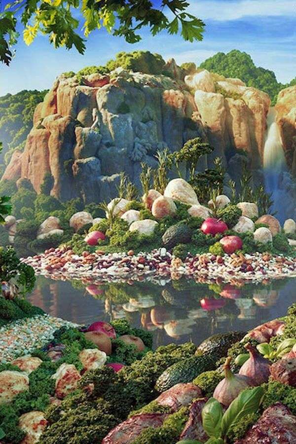 paysage végétal puzzle