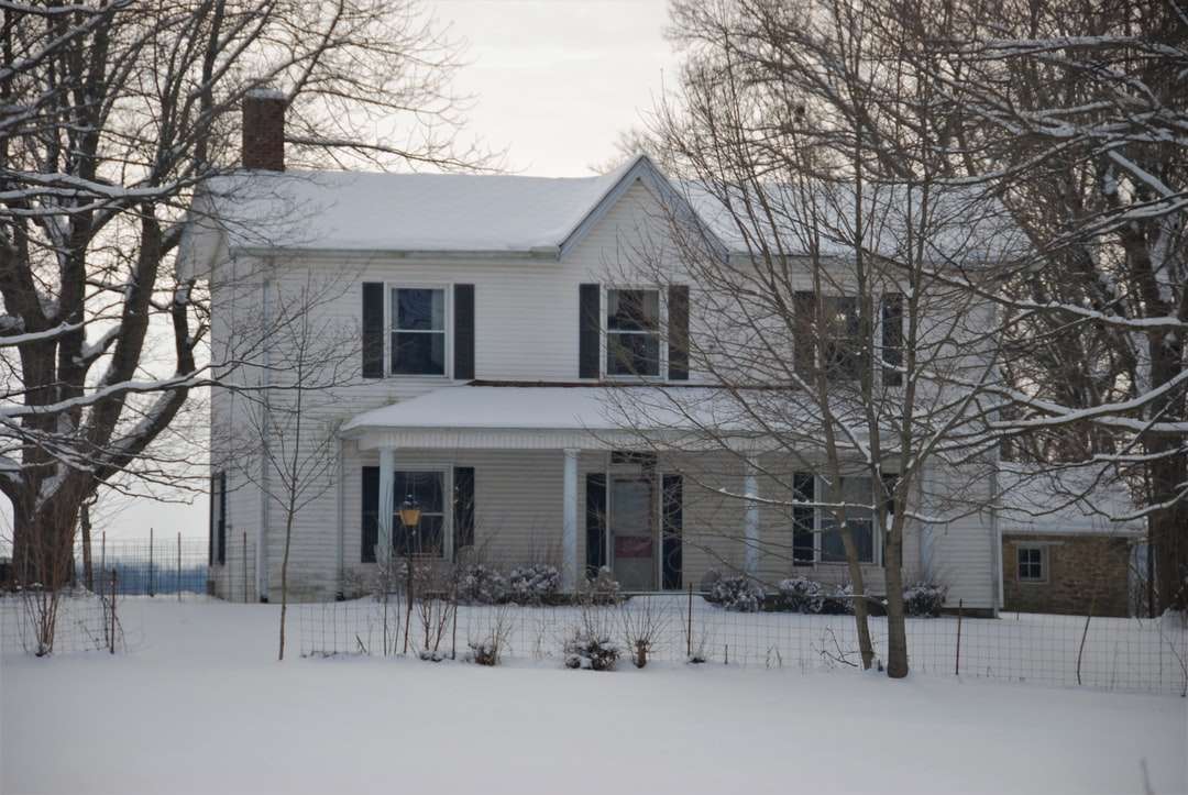biały i szary drewniany dom w pobliżu nagich drzew w ciągu dnia puzzle online