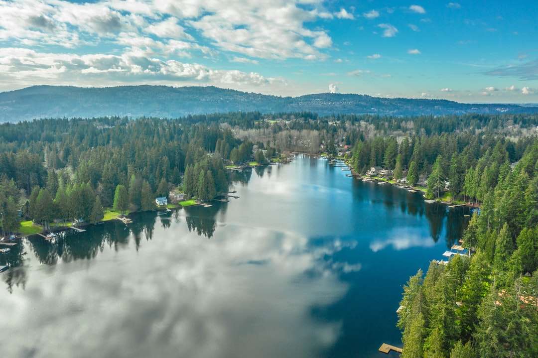zielone drzewa w pobliżu jeziora pod białymi chmurami i błękitnym niebem puzzle online