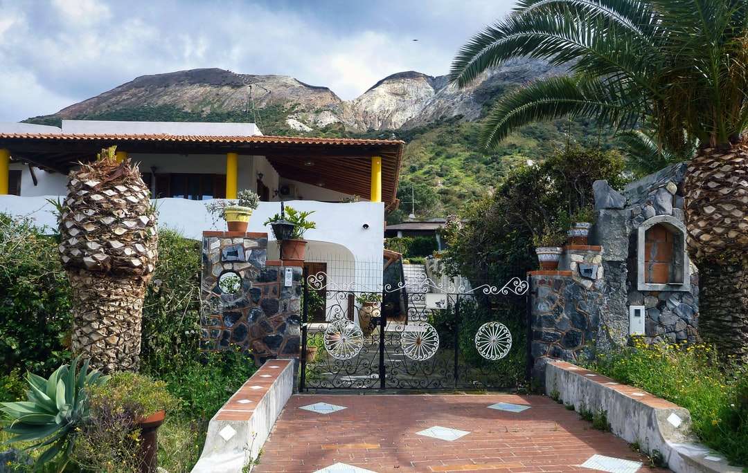 biało-brązowy betonowy dom w pobliżu zielonych palm puzzle online