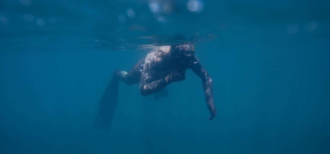 osoba w czarnym kombinezonie kąpielowym w wodzie puzzle online