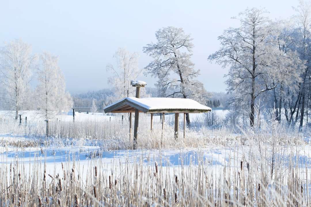 brązowa drewniana altana na ziemi pokrytej śniegiem w ciągu dnia puzzle online