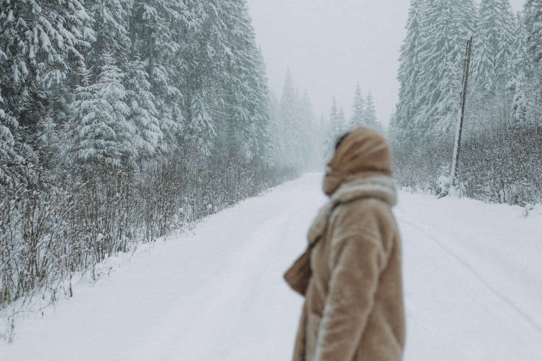 osoba w brązowym płaszczu spacerująca po zaśnieżonej ścieżce puzzle online