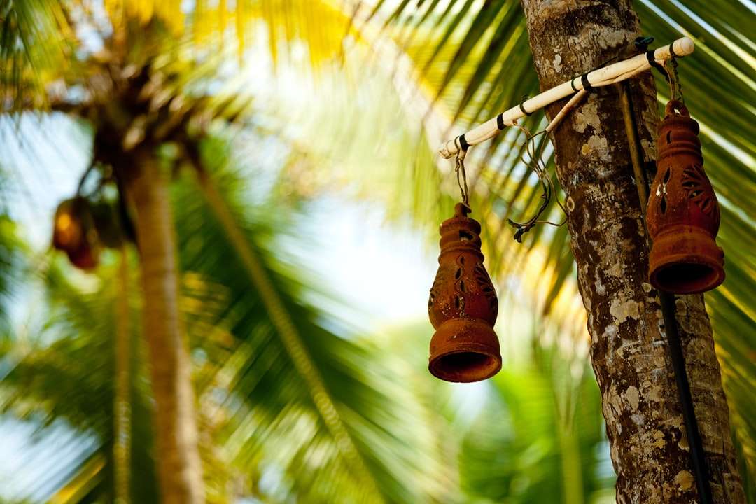 brązowa lampa wisząca na gałęzi drzewa w ciągu dnia puzzle online