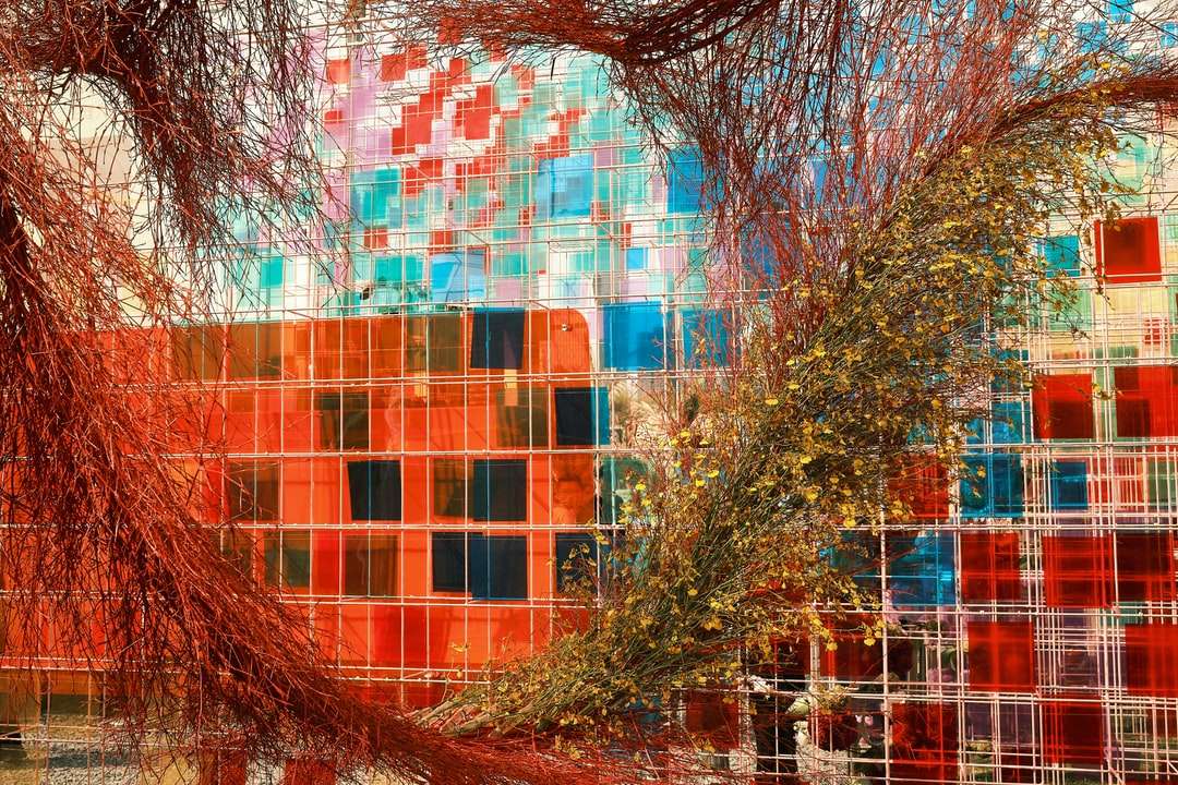 brązowe nagie drzewo obok brązowego betonowego budynku puzzle online