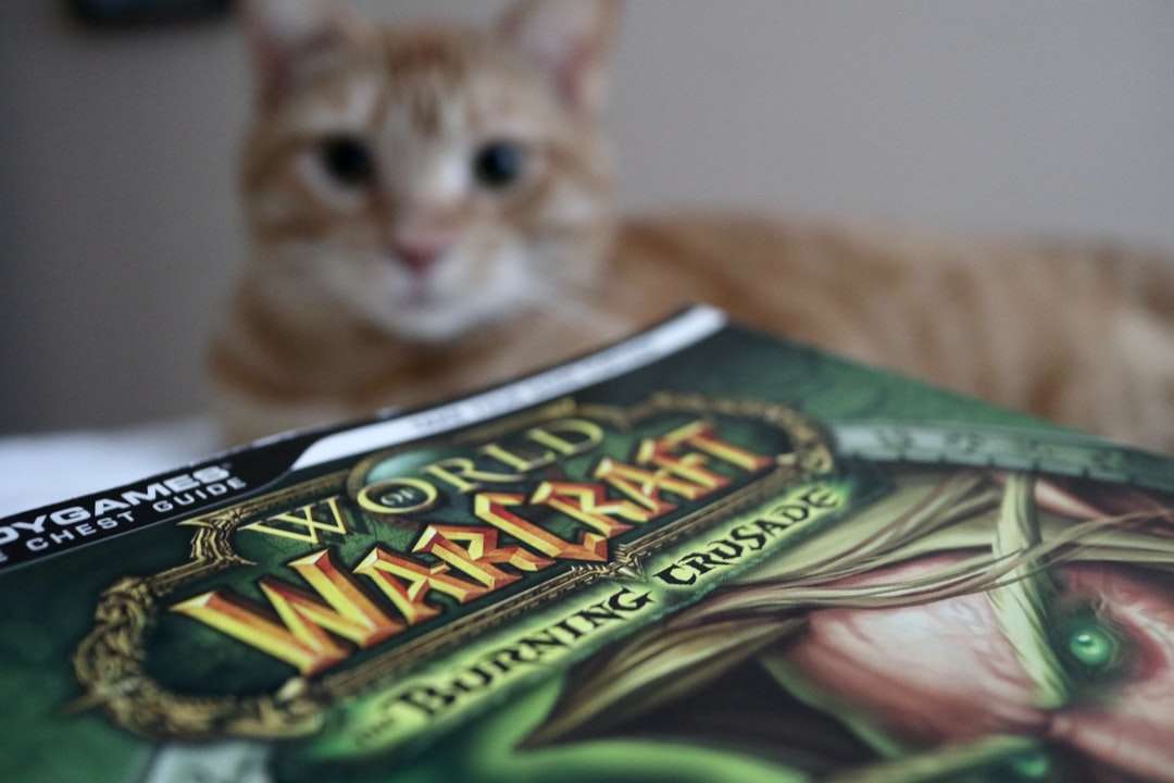 brązowy pręgowany kot na zielono-białej tkaninie puzzle online