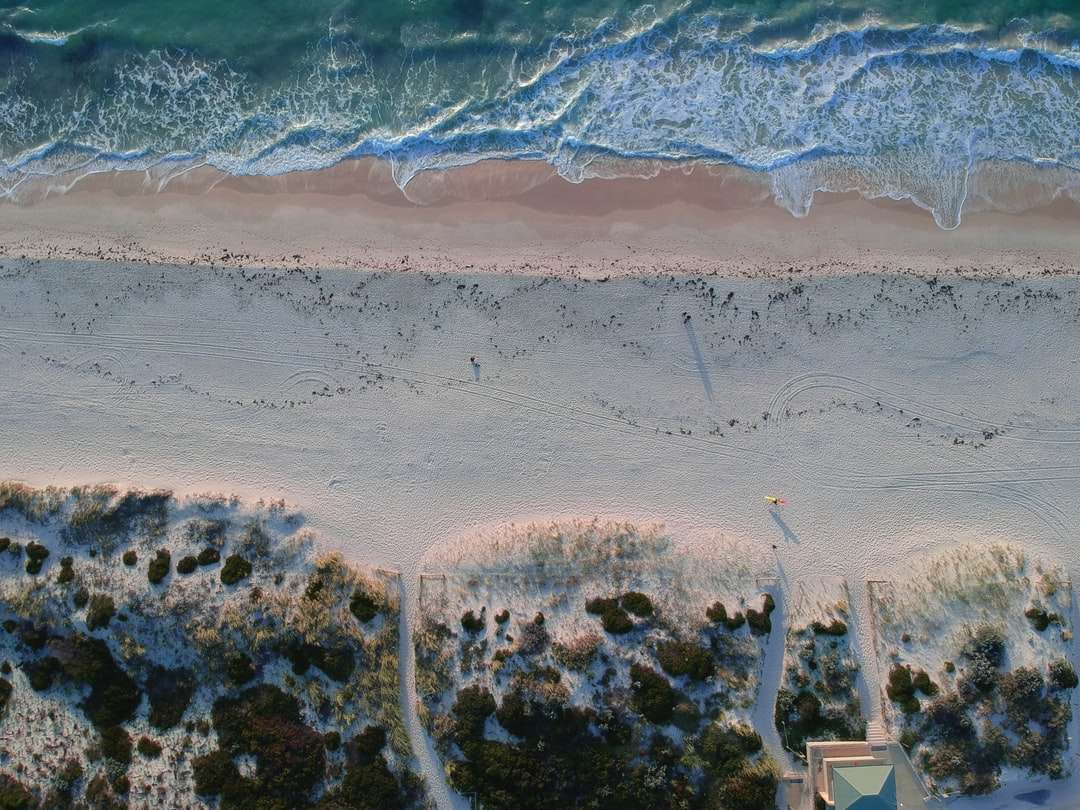 widok z lotu ptaka na plażę w ciągu dnia puzzle online