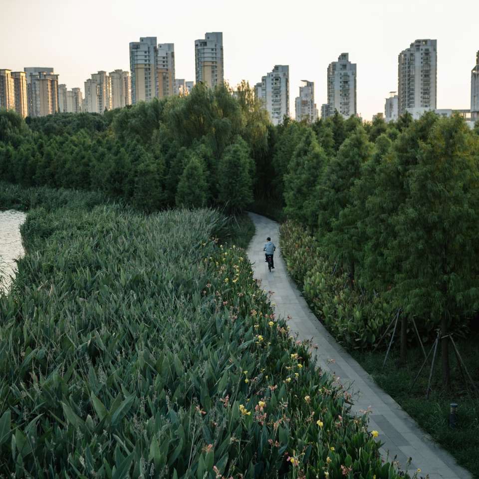 zielone pole trawy w pobliżu budynków miejskich w ciągu dnia puzzle online