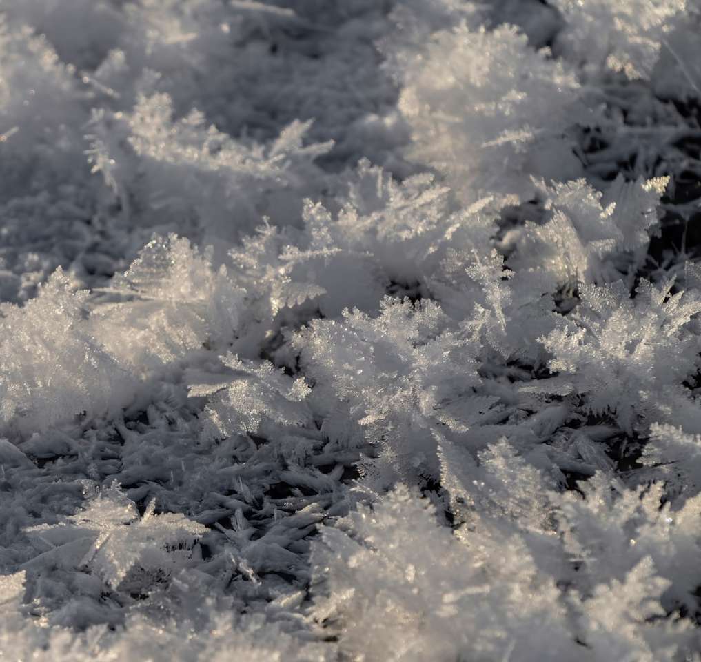 biały śnieg na zielonym polu trawy puzzle online