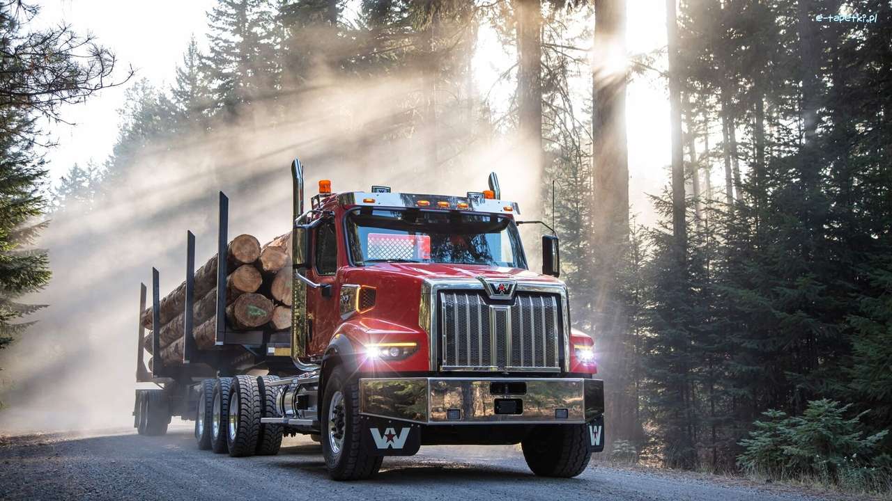 ciężarówka i kłody drzew puzzle online
