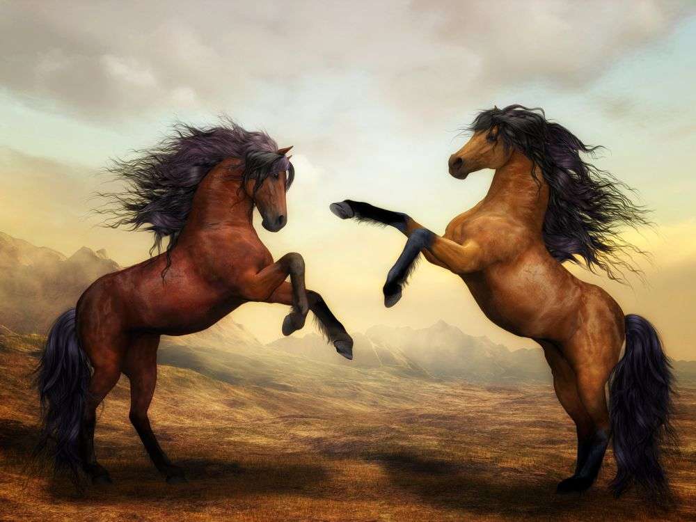 twee paarden legpuzzel