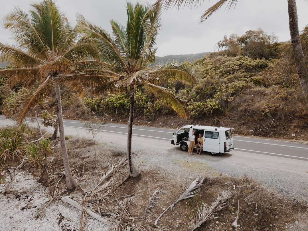 biało-czarna ciężarówka na szarym piasku w ciągu dnia puzzle online