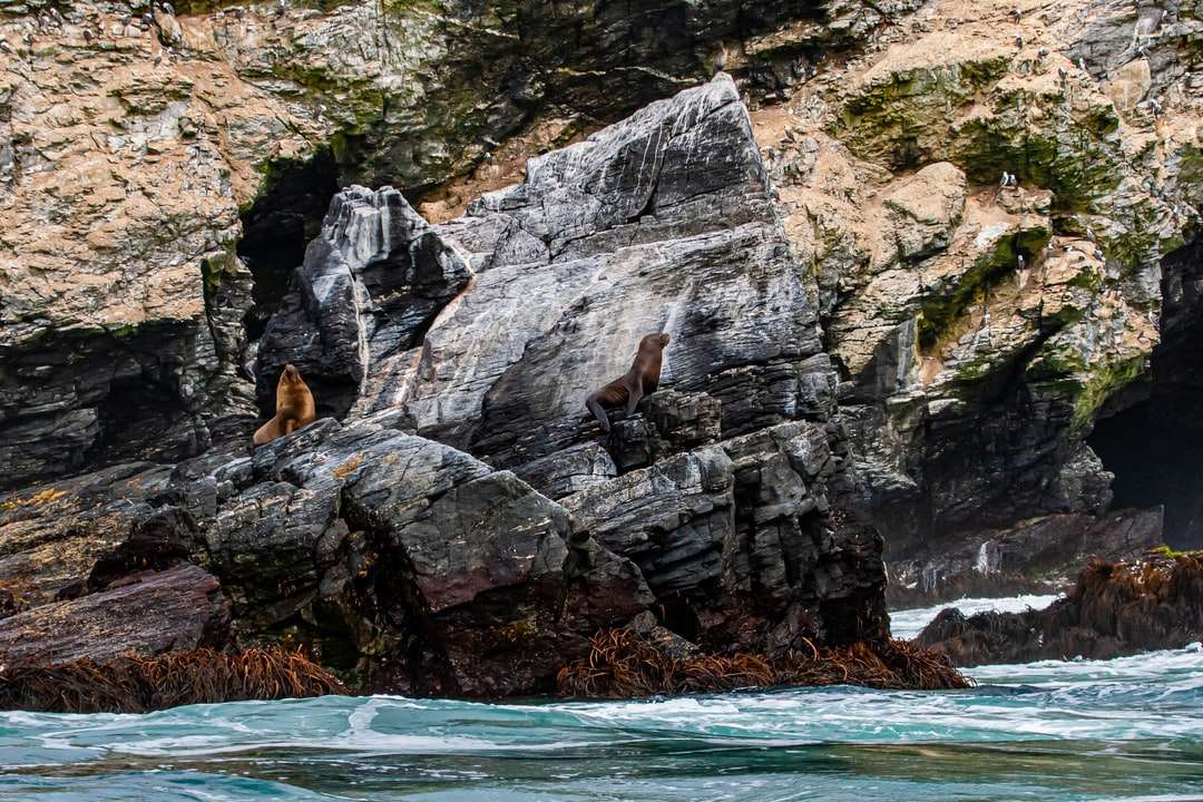 brunatna formacja skalna obok zbiornika wodnego w ciągu dnia puzzle online