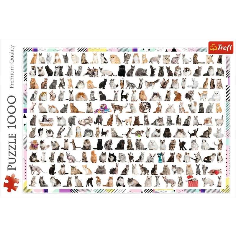 208 kotow puzzle online