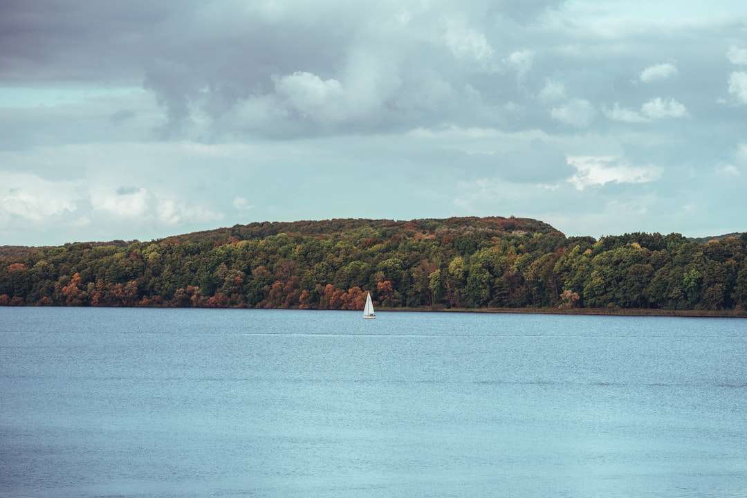 osoba w białej koszuli stojąca na białej łodzi na morzu puzzle online