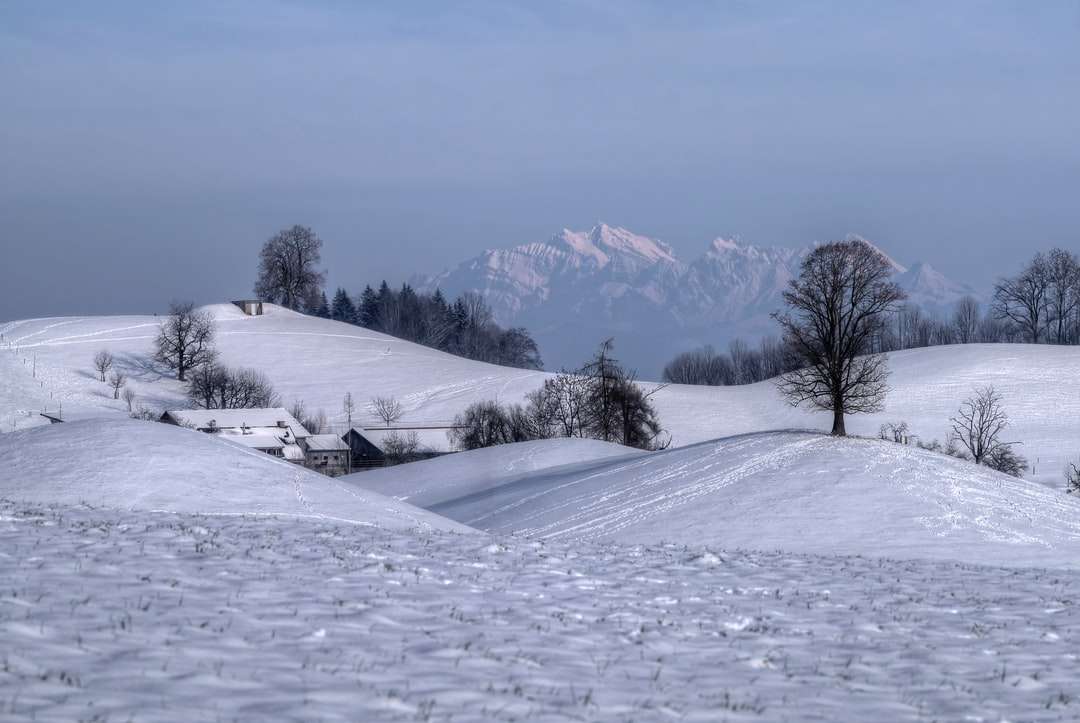 pokryte śniegiem pole z nagimi drzewami i górami w oddali puzzle online