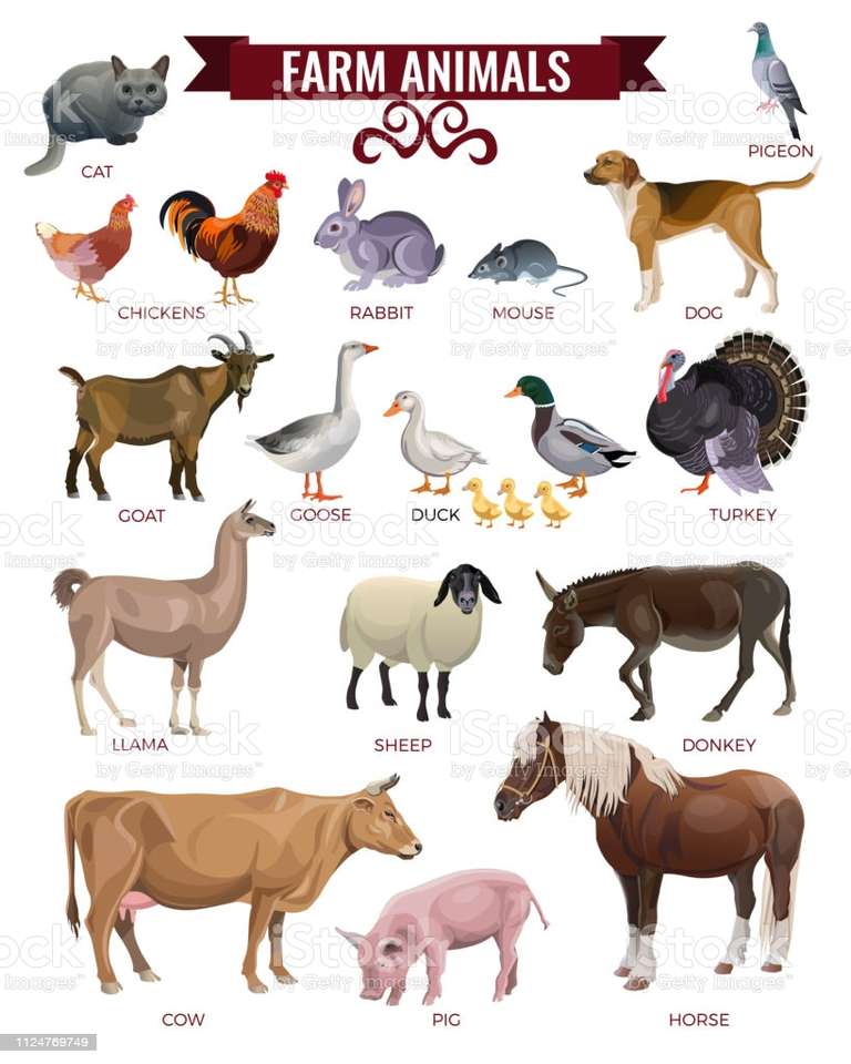 Zwierzęta hodowlane puzzle online