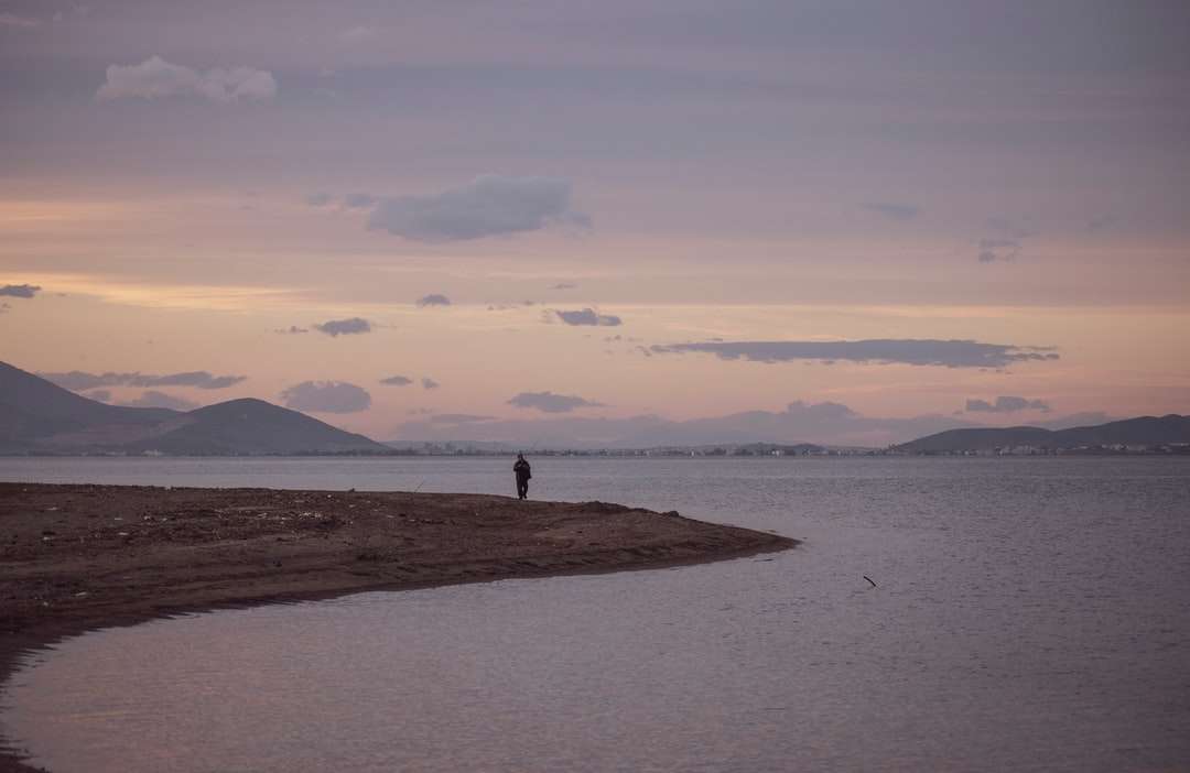 osoba stojąca na brązowym piasku w pobliżu zbiornika wodnego puzzle online