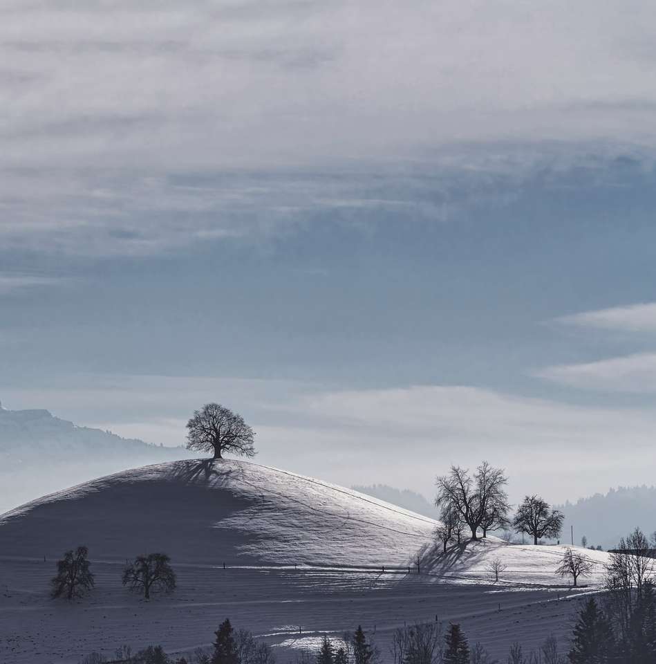 nagie drzewa na ziemi pokryte śniegiem pod białym zachmurzonym niebem puzzle online