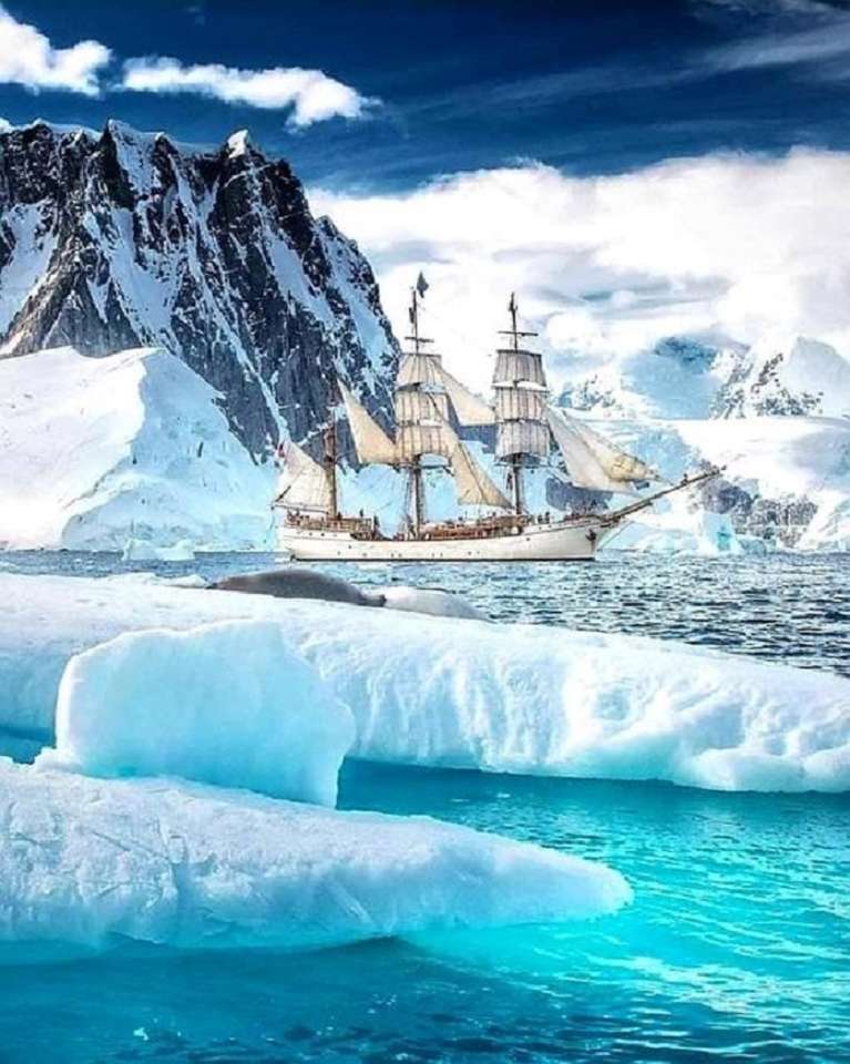 Antarktyda. puzzle online
