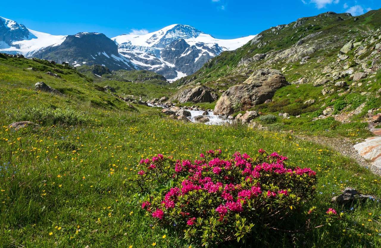 Alpejski Krajobraz puzzle online