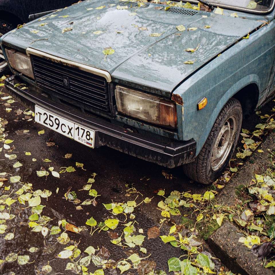 niebieski samochód z żółtymi liśćmi na ziemi puzzle online
