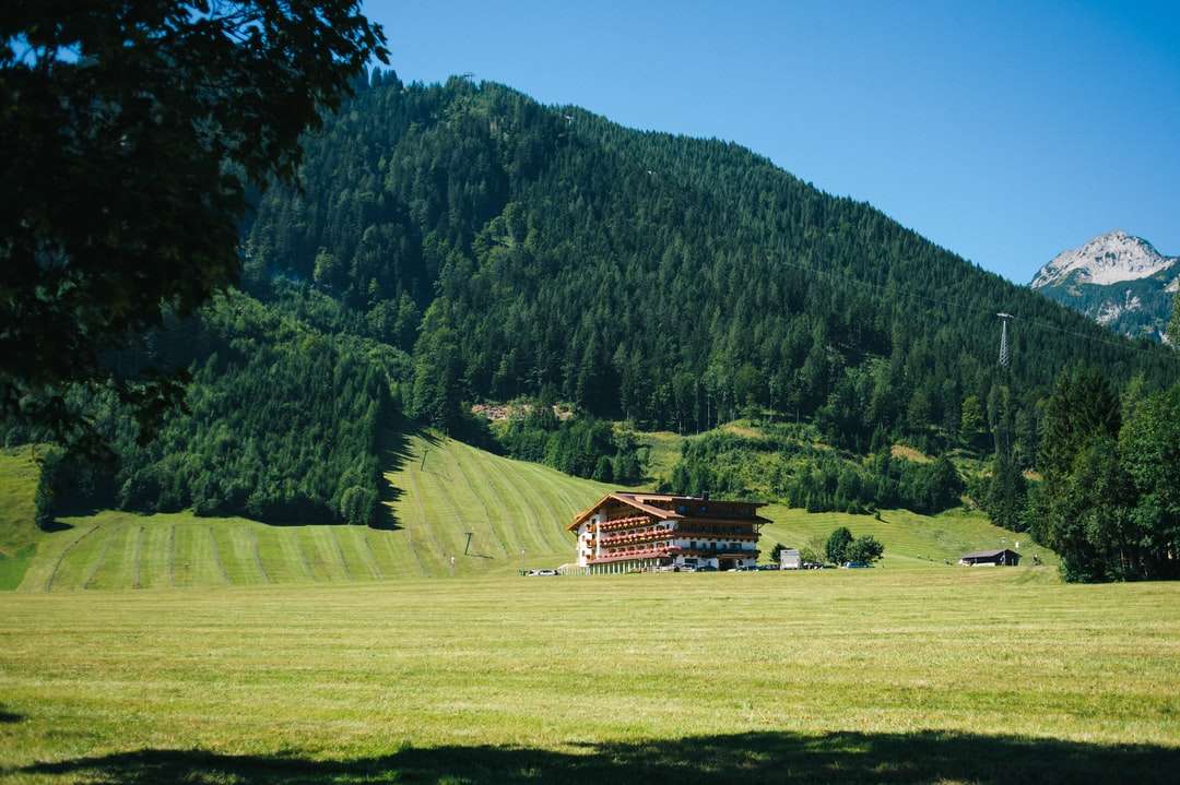 brązowy drewniany dom na zielonej trawie w pobliżu zielonej góry puzzle online