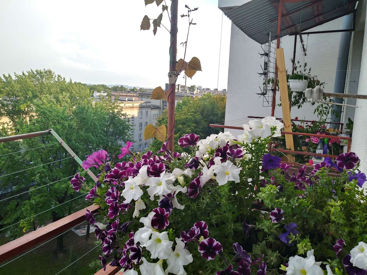 Kwiatowe balkony puzzle online