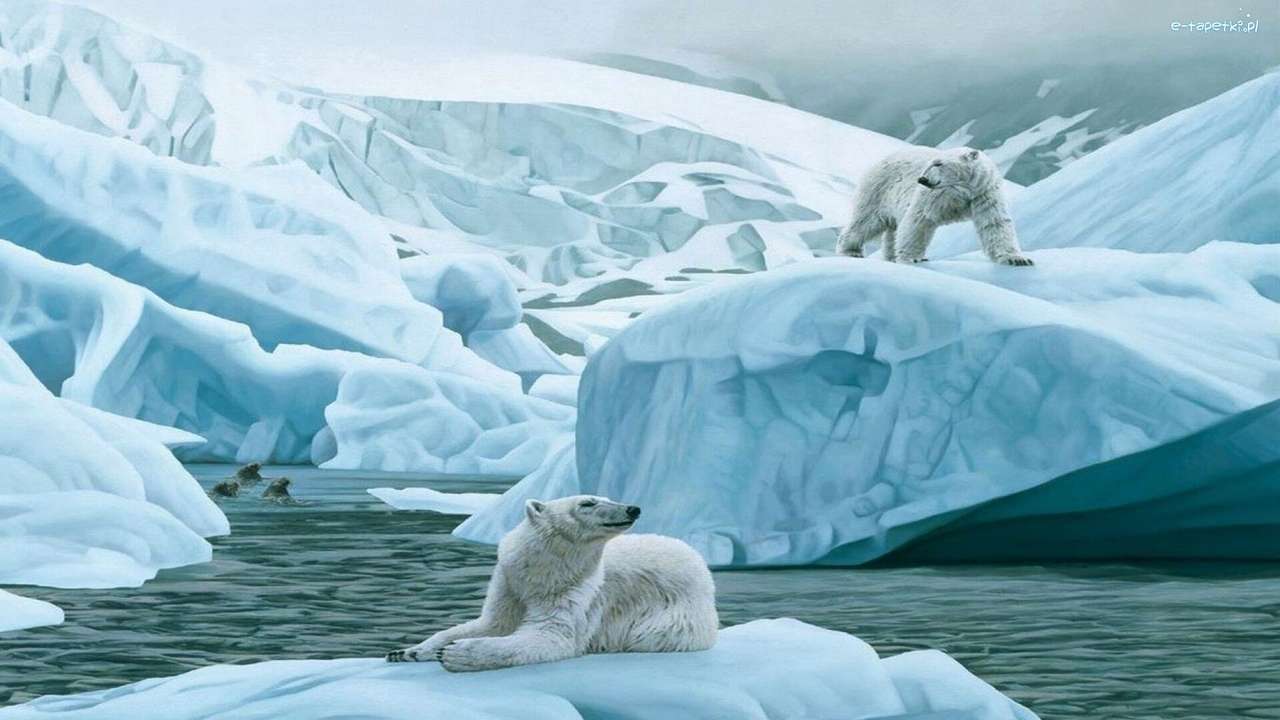 góry lodowe z niedźwiedziami puzzle online